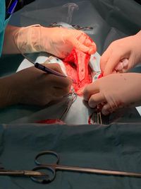 NEUVO LUMIX SURGERY VET - FOTO-1