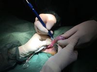 NUEVO LUMIX SURGERY VET - FOTO-3