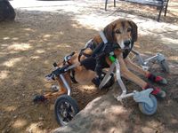 Aaron-Walsh-Sneakers2-scaled